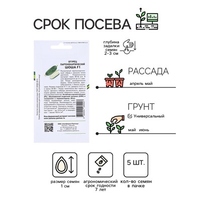 Семена огурца «Шоша», F1, 5 шт., «Агрофирма Партнер»