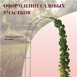 Арка садовая, 240×125×20 см, для вьющихся растений, металлическая, зелёная