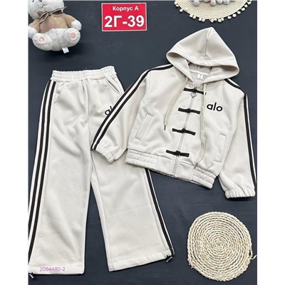 костюм с начесом 2054480-2