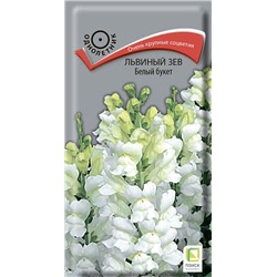 Львиный зев Белый букет (одн) (П)
