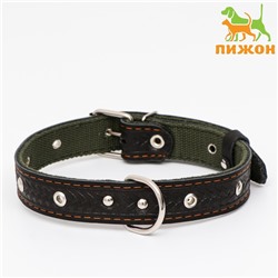 Ошейник комбинированный безразмерный, кожа/брезент, 60×3 см, ОШ 30-57 см, чёрный/зелёный