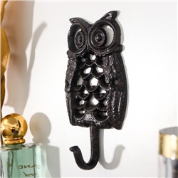 Крючок декоративный чугун «Очковая сова», ключница настенная, 14×3×8 см