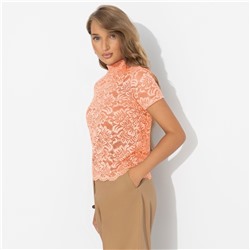 Водолазка из кружева, На что вы намекаете?