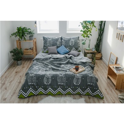 Постельное бельё 1.5-спальное «Этель. Ушастые совы (вид 1)», бязь