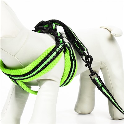 Комплект амуниции светоотражающий с мягкой шлейкой и мягкой ручкой, 1.5×120 см, ОШ 35-53, жёлтый