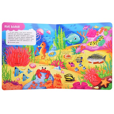 Книги с окошками. Кто где живет