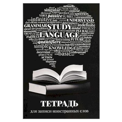 Тетрадь-словарик для записи иностр. слов А6 32л "СЛОВАРЬ" 67527 Феникс