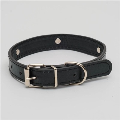 Ошейник «Собачки», 46×2 см, ОШ 31-40, искусственная кожа, чёрный