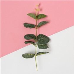 Набор подарочный «You are Beautiful» с полотенцем