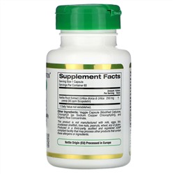 California Gold Nutrition, EuroHerbs, экстракт корня крапивы, 250 мг, 60 растительных капсул