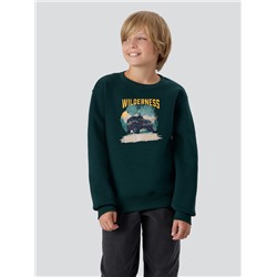 СВИТШОТ ДЛЯ МАЛЬЧИКОВ 123431/1