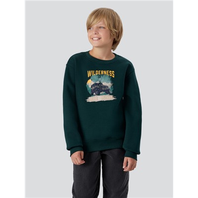 СВИТШОТ ДЛЯ МАЛЬЧИКОВ 123431/1