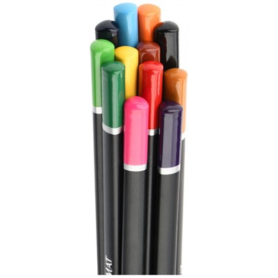 Карандаши 12цв трехгранные Blackwood супермягкие черное дерево AF03-051-12 ARTформат