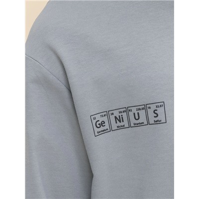 PELICAN Толстовка BFNS7025U