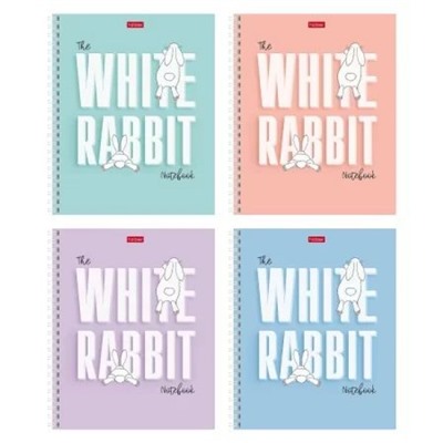 Тетрадь  48л  клетка на спирали "Следуй за белым кроликом" 48Т5В1гр 087016 Хатбер