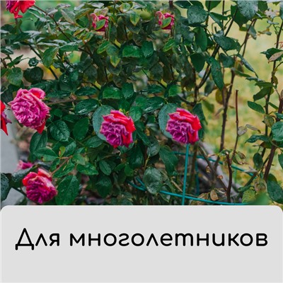 Чехол для растений, на завязках, 60×56 см, спанбонд с УФ-стабилизатором, плотность 60 г/м², МИКС, Greengo