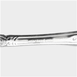 Ложки столовые из нержавеющей стали «Русиано», 19 см, 12 шт.