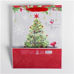 Пакет подарочный новогодний крафтовый «Новогоднего чуда», 23×27×11.5 см