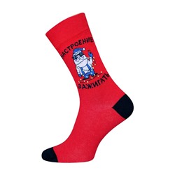 Унисекс БРЕСТСКИЕ НОСКИ 4200 С НОВЫМ ГОДОМ!