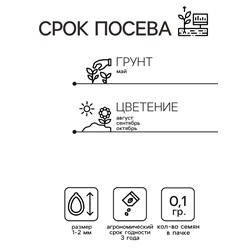 Семена цветов Пампасная трава «Белый шлейф», «Перстиж семена», 0.1 г