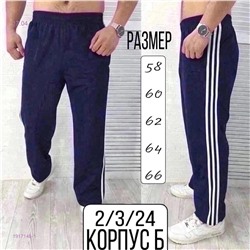 Спортивные штаны 1917148-1
