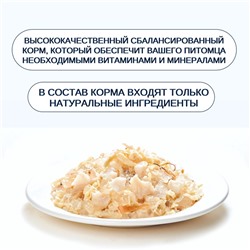 Wanpy Cat Консервы для кошек «Курица с треской» 95 г