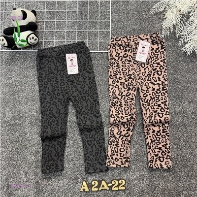 лосины теплые 2058347-1