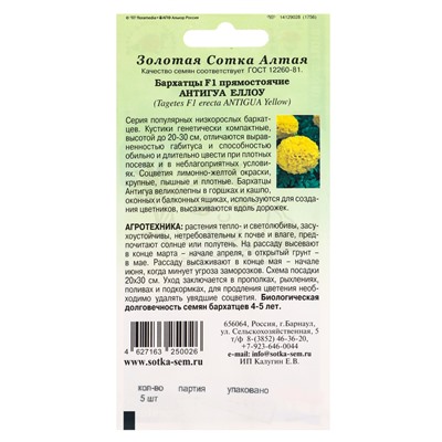Семена Бархатцы «Антигуа Еллоу», F1, прямостоячие, 5 шт., «Золотая Сотка Алтая»