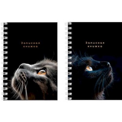 Записная книжка на спирали А6  80л "ВЗГЛЯДЫ КОТИКОВ" 80-3751 Проф-Пресс