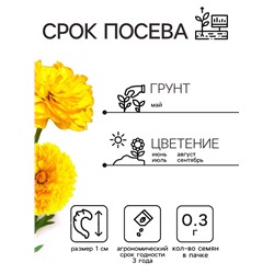 Семена  Календула Золотой принц, 0,3 г