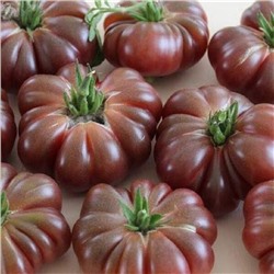 7064T Томат Пурпурная тыква 10шт