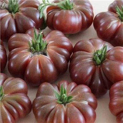 7064T Томат Пурпурная тыква 10шт