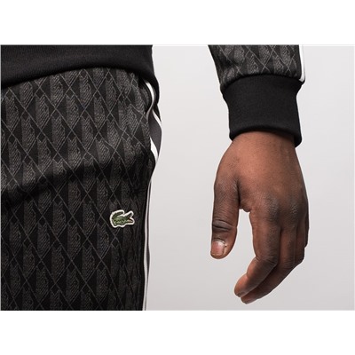 Спортивный костюм Lacoste