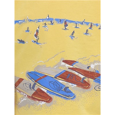 285753 PELICAN Футболка