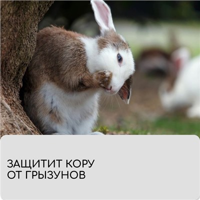Лента для подвязки растений, 10×0.02 м, плотность 60 г/м², набор 2 шт., спанбонд с УФ-стабилизатором, белая, Greengo, Эконом 20%