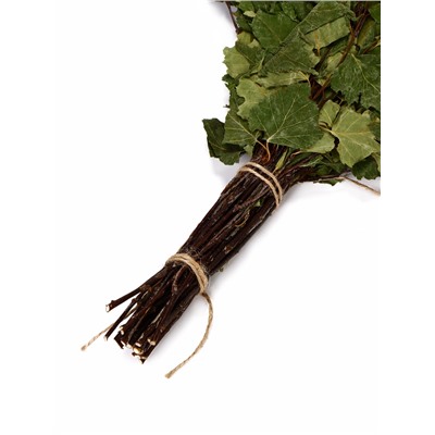 Веник для бани, берёзовый, в упаковке