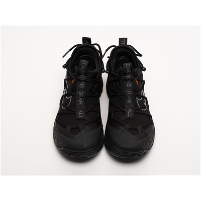 Кроссовки Nike ACG Air Terra Antarktik Low
