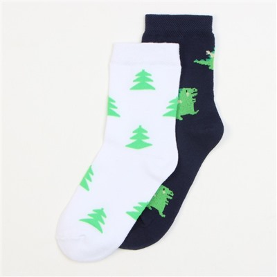 Носки детские KAFTAN «Дракоши», набор 2 пары, размер 14-16