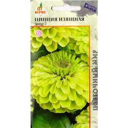 Цинния Энви (Код: 12303)