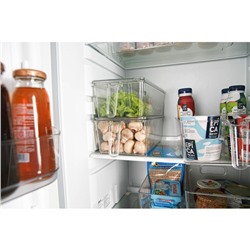 Контейнер для холодильника с крышкой и ручкой RICCO, 32×14,5×10 см