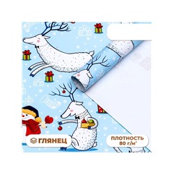 Бумага упаковочная новогодняя глянцевая «Морозный день!», 70×100 см