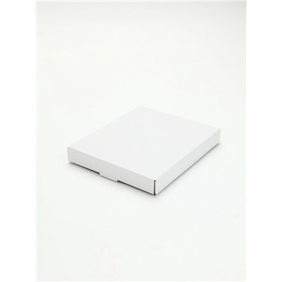 Тарелка плоская новогодняя «Праздник к нам приходит», 19.5×16.5 см