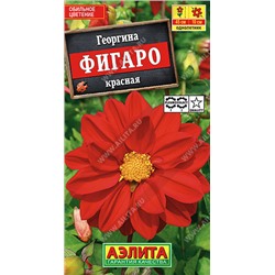 1430A Георгина Фигаро махровая красная 7 шт