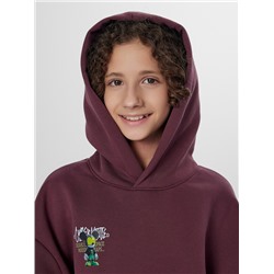 ХУДИ ДЛЯ МАЛЬЧИКОВ 123416-1