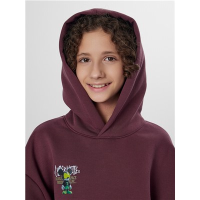 ХУДИ ДЛЯ МАЛЬЧИКОВ 123416-1