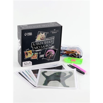 УЦЕНКА Набор алмазная мозаика 12 в1 «Мемы»