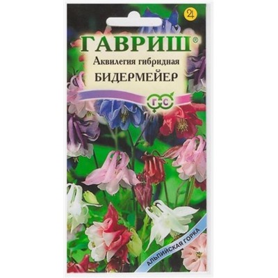Аквилегия Бедермейер (Код: 7877)