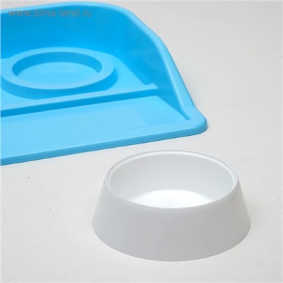 Миски с лотком Пижон «Феликс»,300 мл, 41×30×6 см, пластик, голубой лоток, белые миски