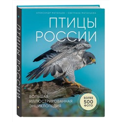 Эксмо Александр Матанцев "Птицы России. Большая иллюстрированная энциклопедия"