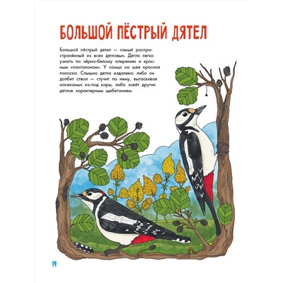 АСТ Янссон Э. "Птицы"